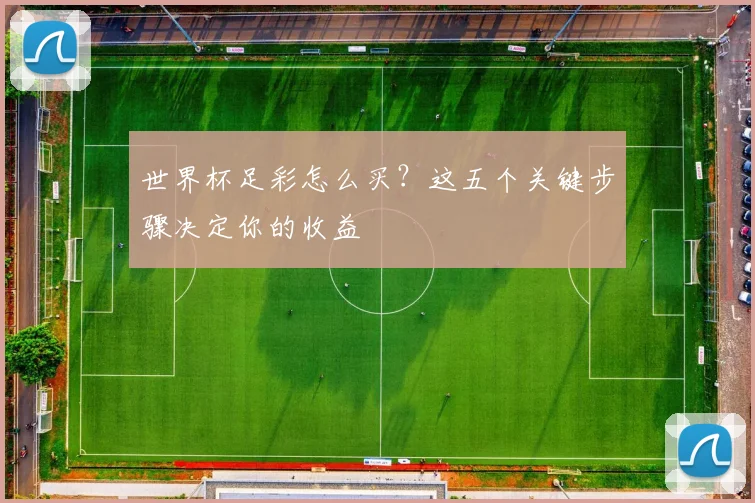 世界杯足彩怎么买?这五个关键步骤决定你的收益