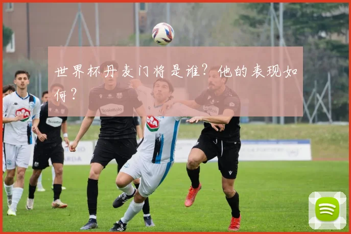 世界杯丹麦门将是谁?他的表现如何?