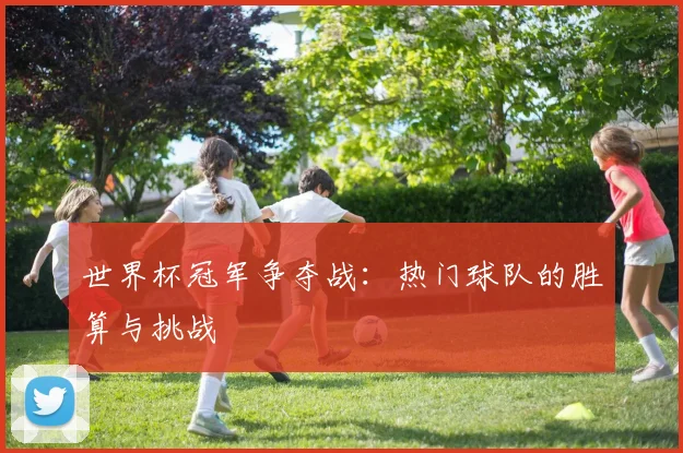 世界杯冠军争夺战：热门球队的胜算与挑战