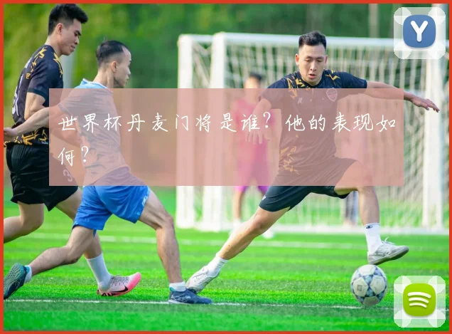 世界杯丹麦门将是谁?他的表现如何?