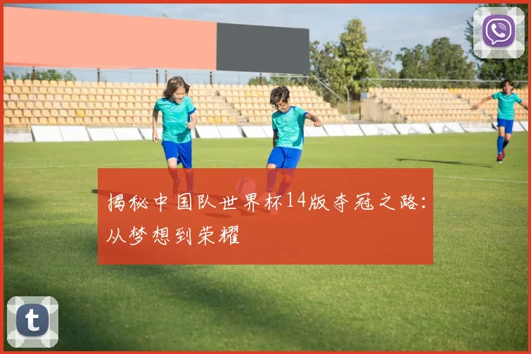 揭秘中国队世界杯14版夺冠之路:从梦想到荣耀