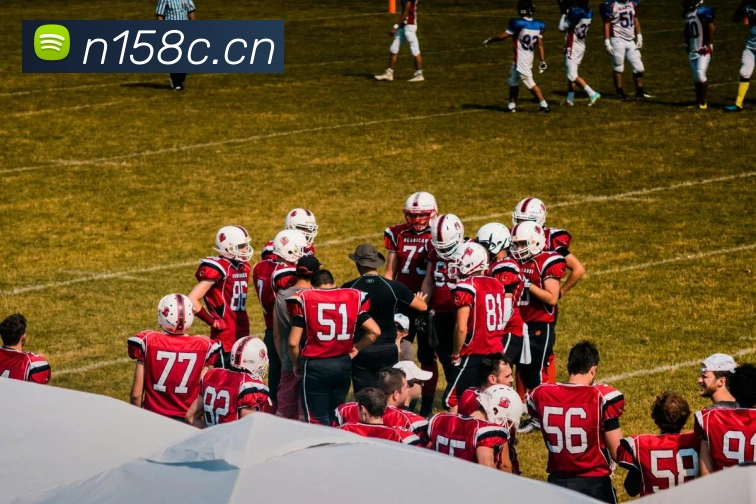 leyu乐鱼网页平台生态图